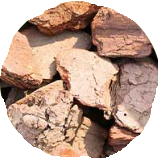 Maritime Pine Bark